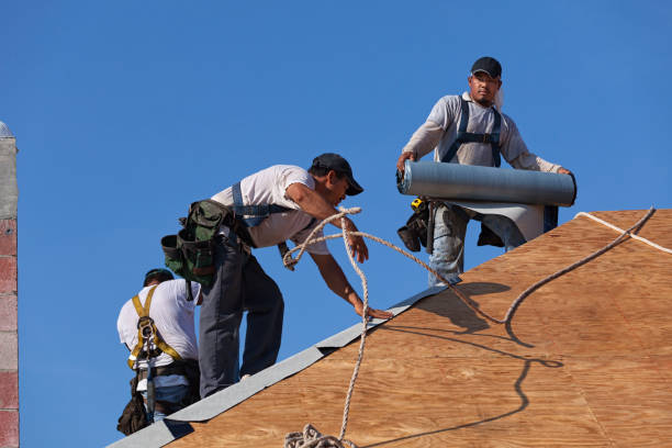 Best Storm Damage Roof Repair  in Germantown, TN